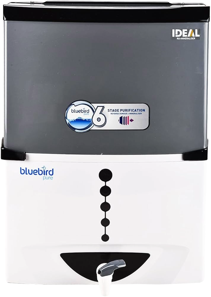 Bluebird